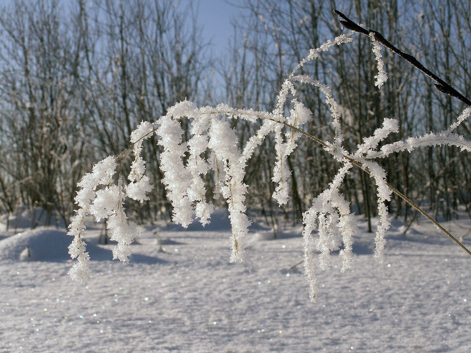 серебро зимы