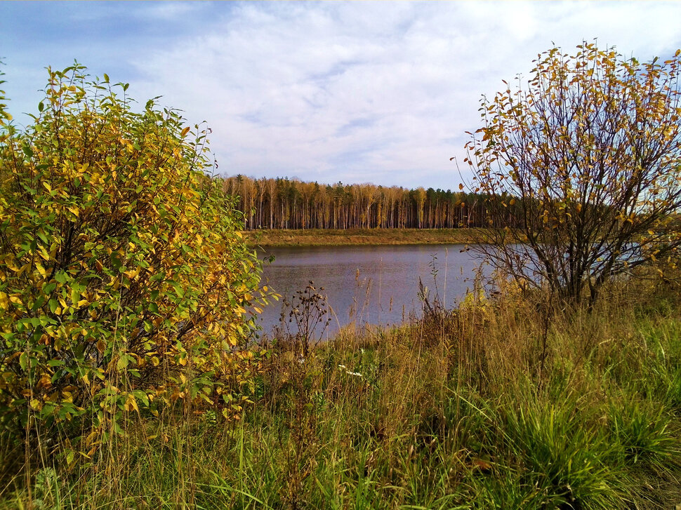 У грустного озера