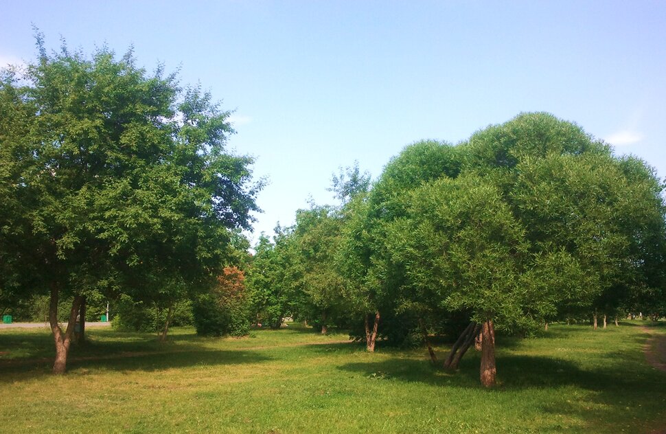 Июнь