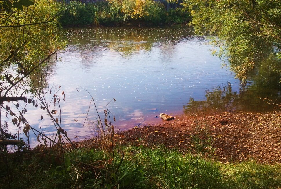 Осенью у реки