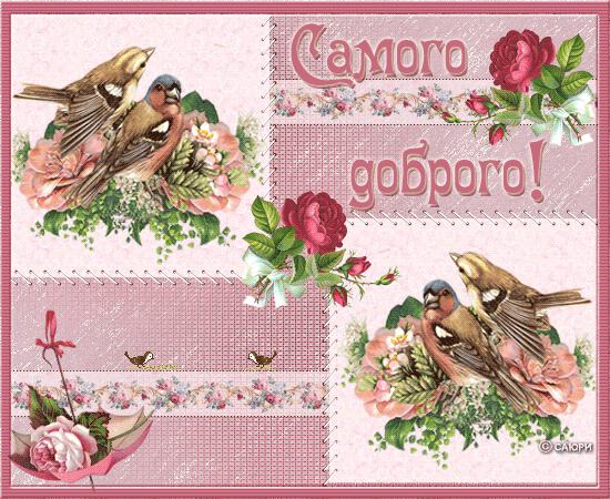 розовая открытка с птичками