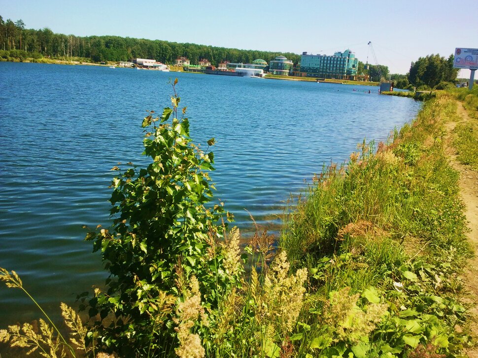 У озера