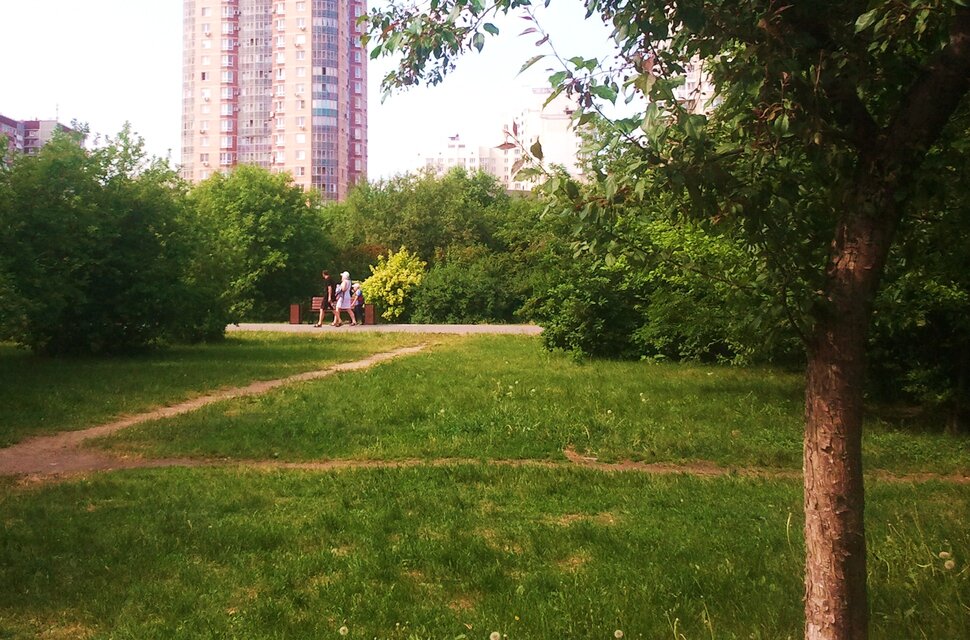 В парке летом