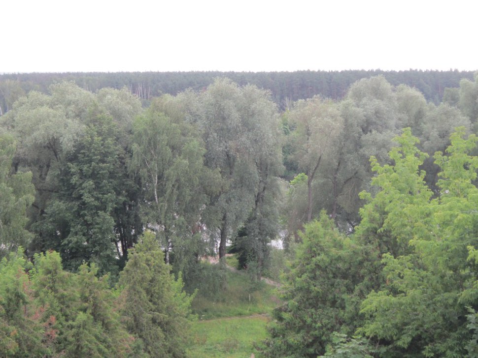 Архангельское. Вид на лес и реку