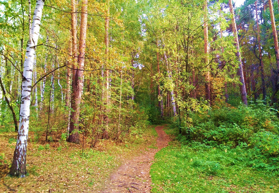 Это еще осень