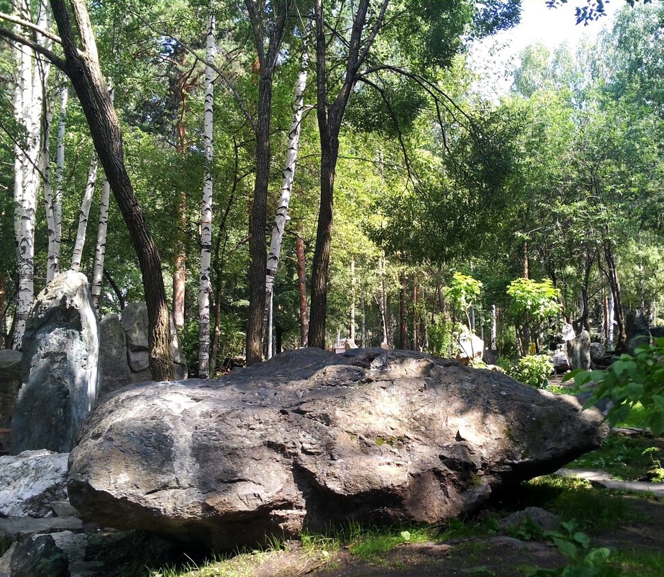Лес и камень