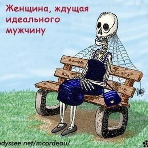 Похоже на правду