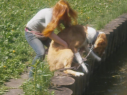Не хочу плавать
