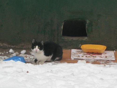 Всё на высшем уровне, даже коврик есть