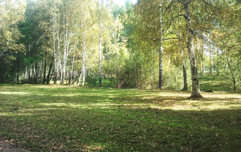 По лесочку