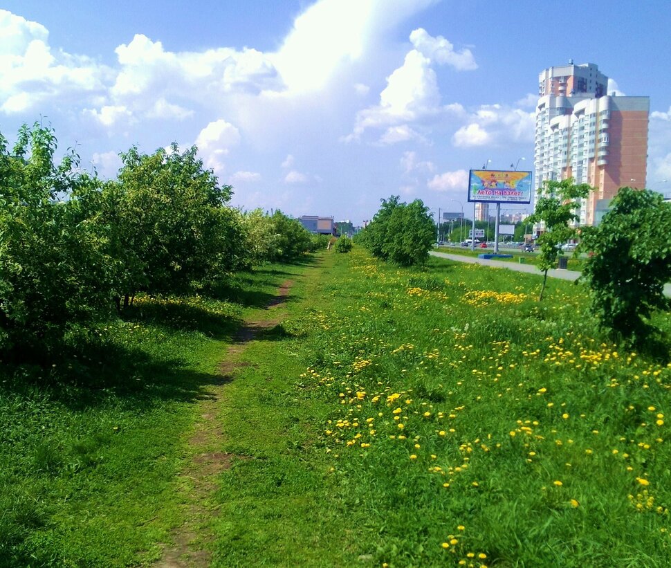 В мае по бульвару