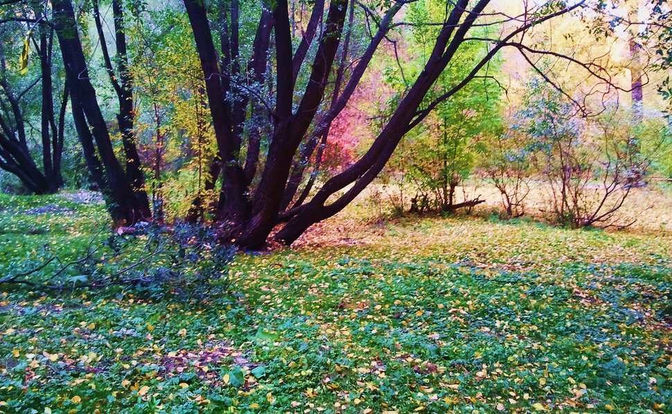 В осеннем полумраке