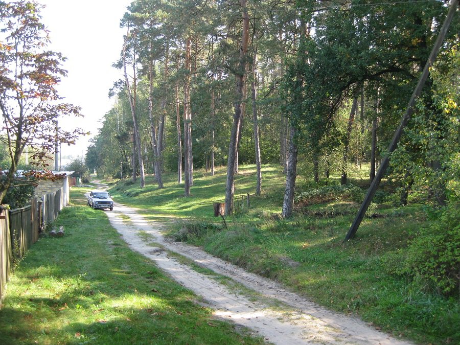 Дорога у леса