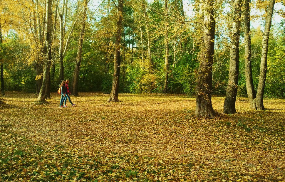 Осенняя прогулка