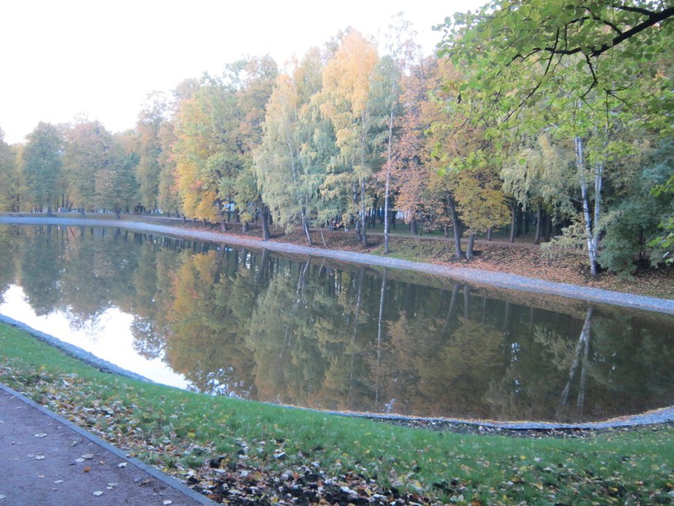 Осенью в парке Михалково