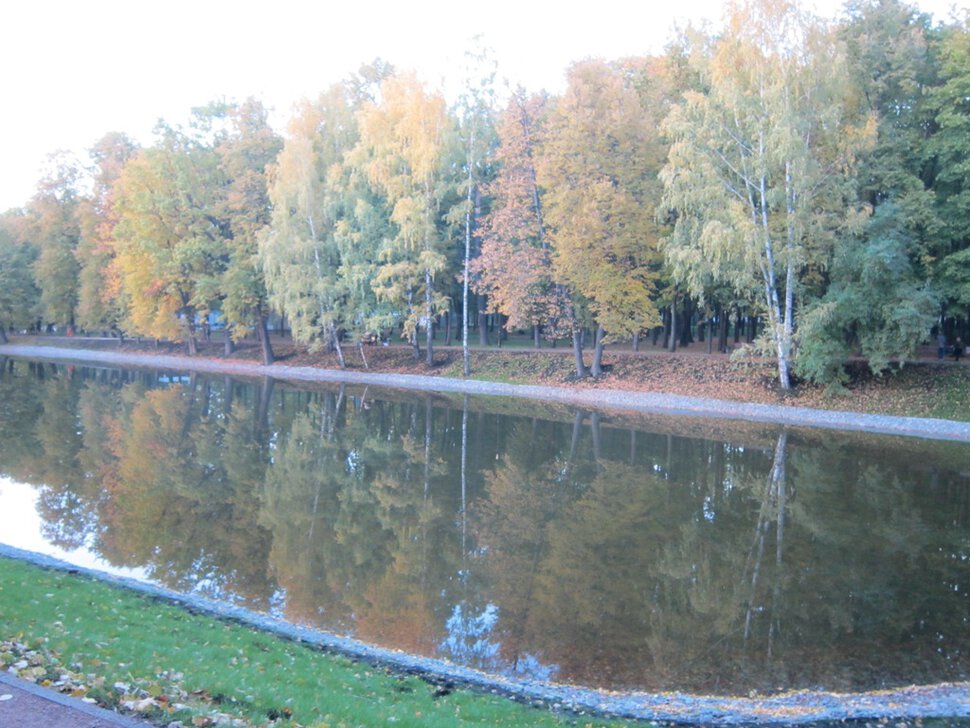 Осенью в парке Михалково