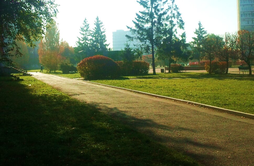 Утром по бульвару