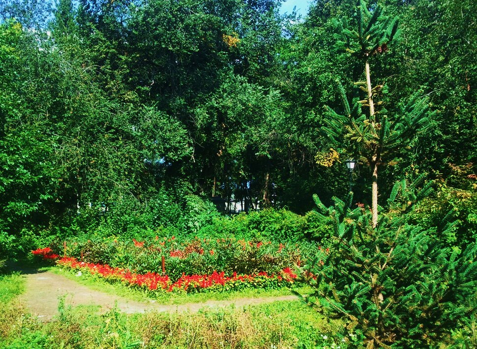 Август