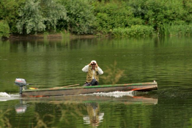 Любопытство