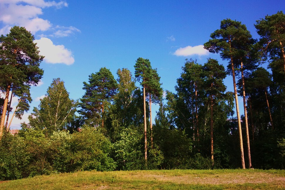 На вершине горки