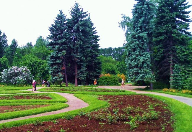 В дендрологическом парке