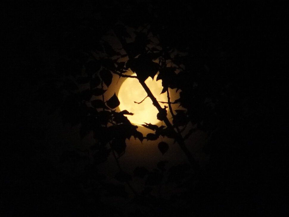 Луна в ночи