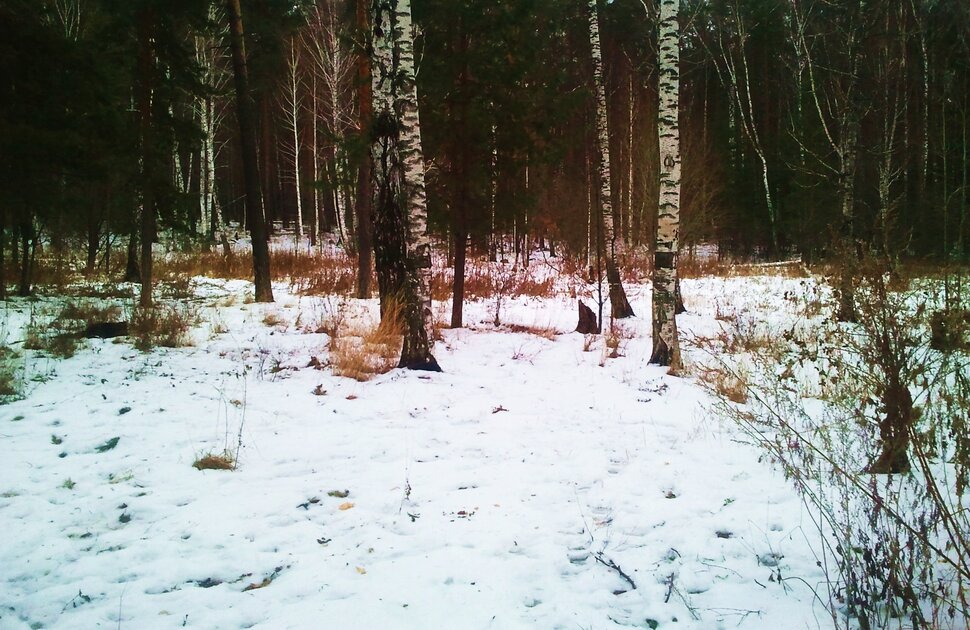 По снежку