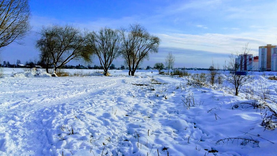 Старая тропинка