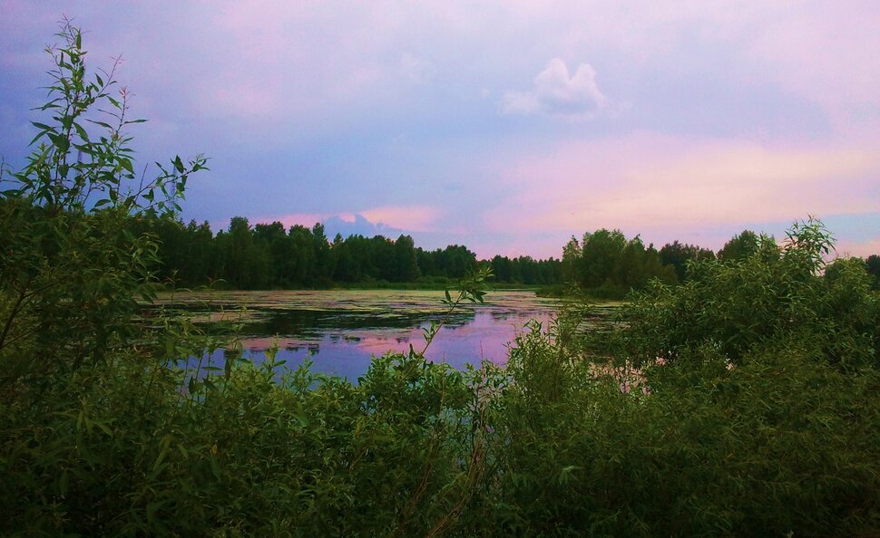 У реки