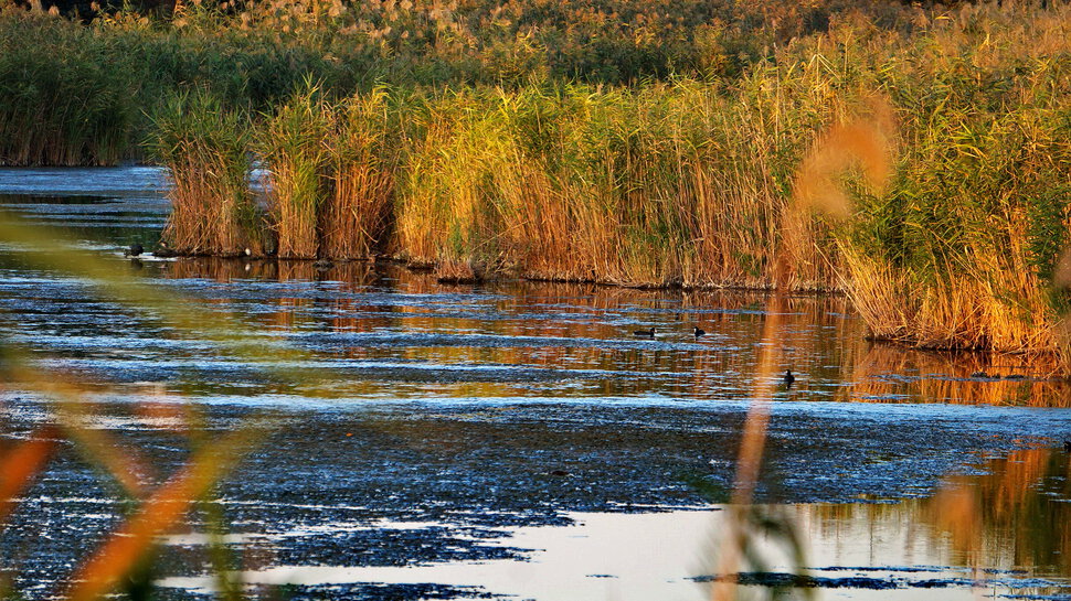 Вечерняя прогулка