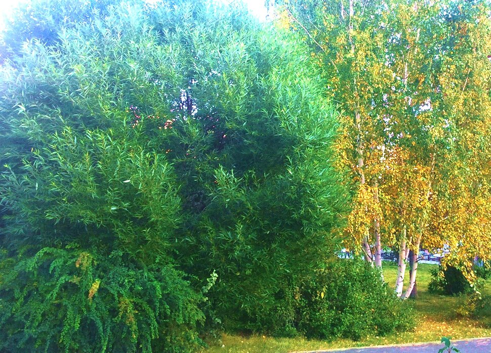 Сентябрь