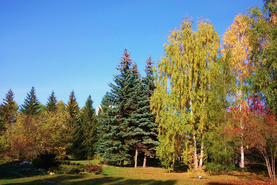 В ботаническом саду