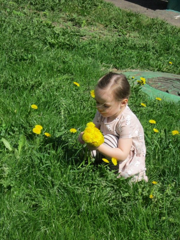 Лиза и одуванчики