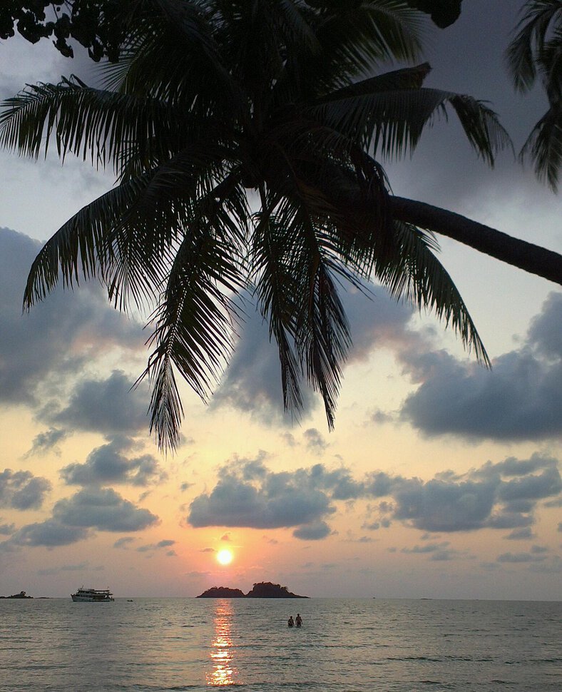 Море под пальмой. Тайланд