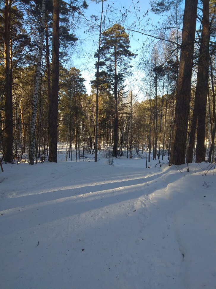 Радость, солнце и зима