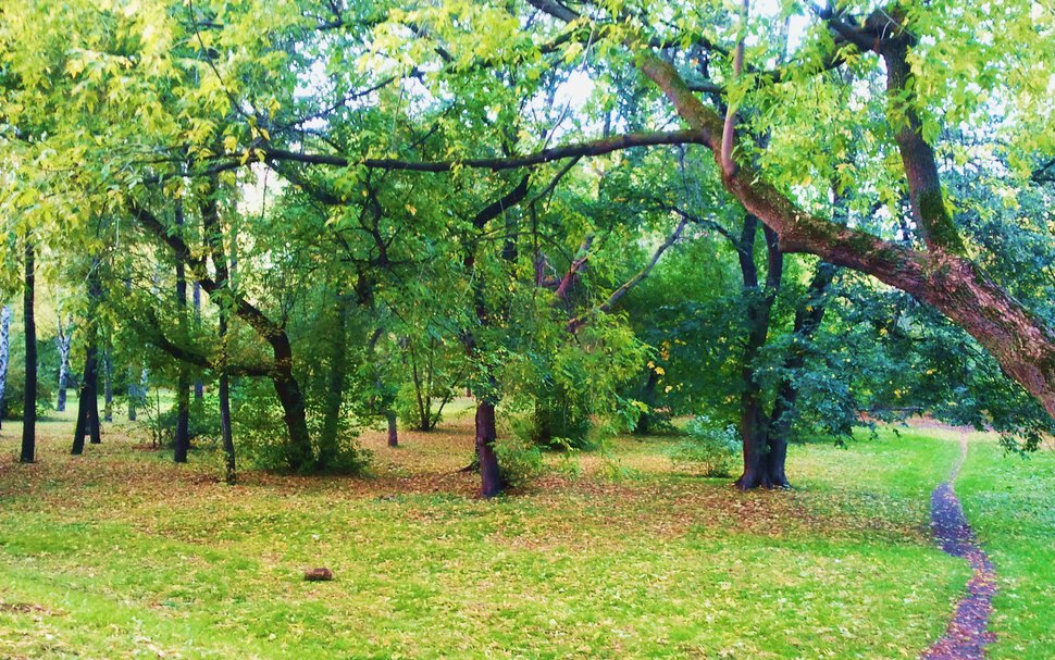 В осенних мотивах