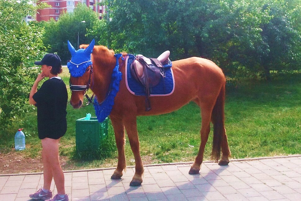В парке летом