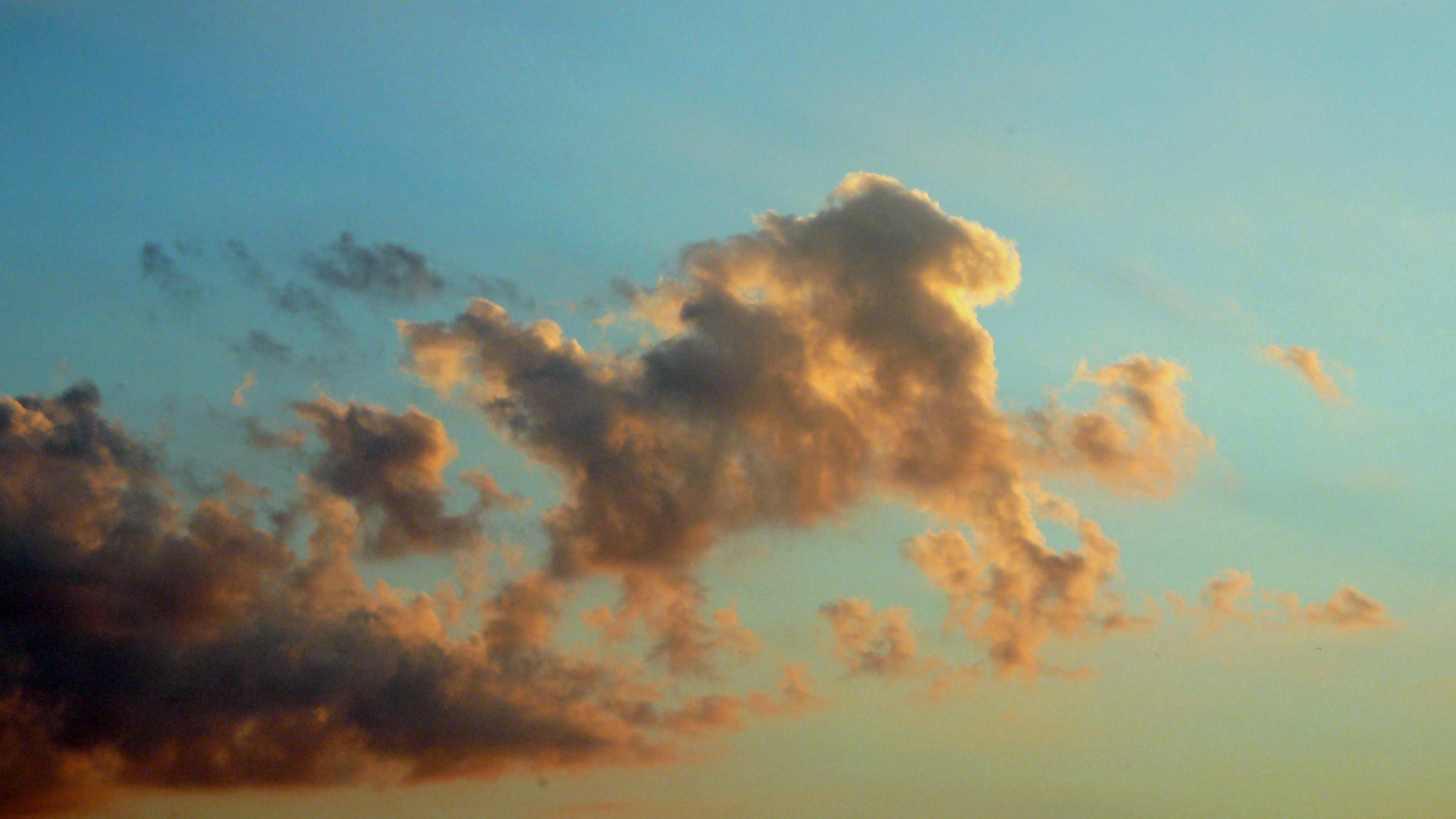 Караоке песни облака. Облака похожие на животных. На что похожи облака. Облака в виде лошадей. Облака похожие на лошадей.