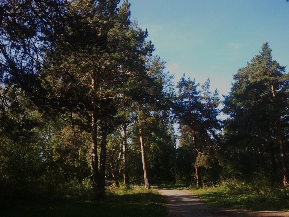 По лесочку