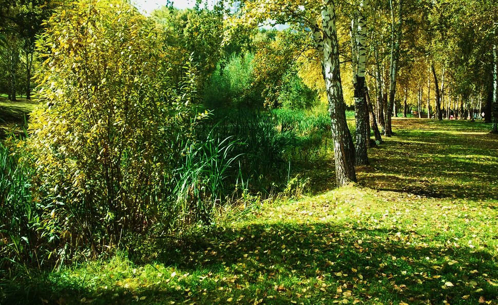 Под сентябрьским солнышком