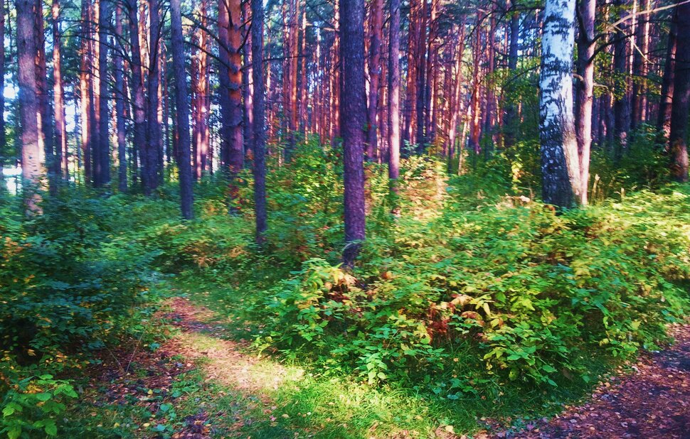 Сентябрь