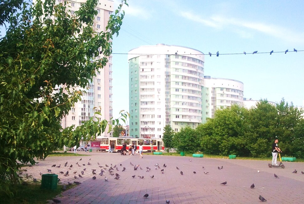 В парке летом
