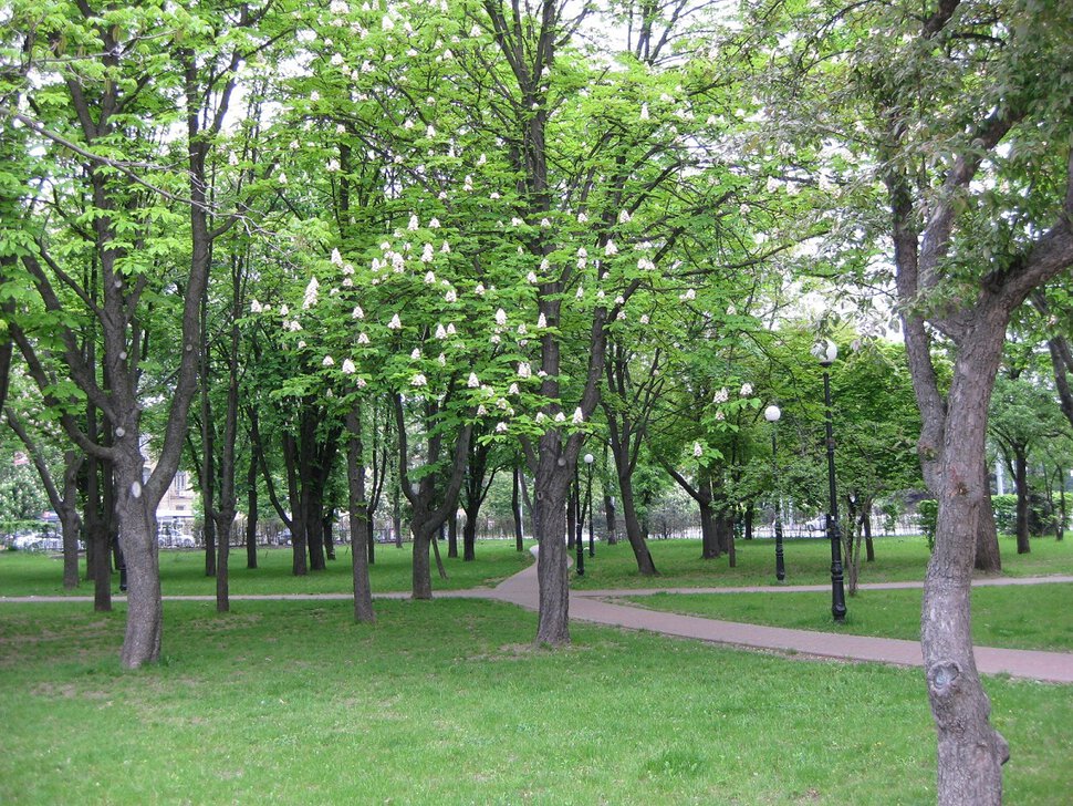 Городской сквер