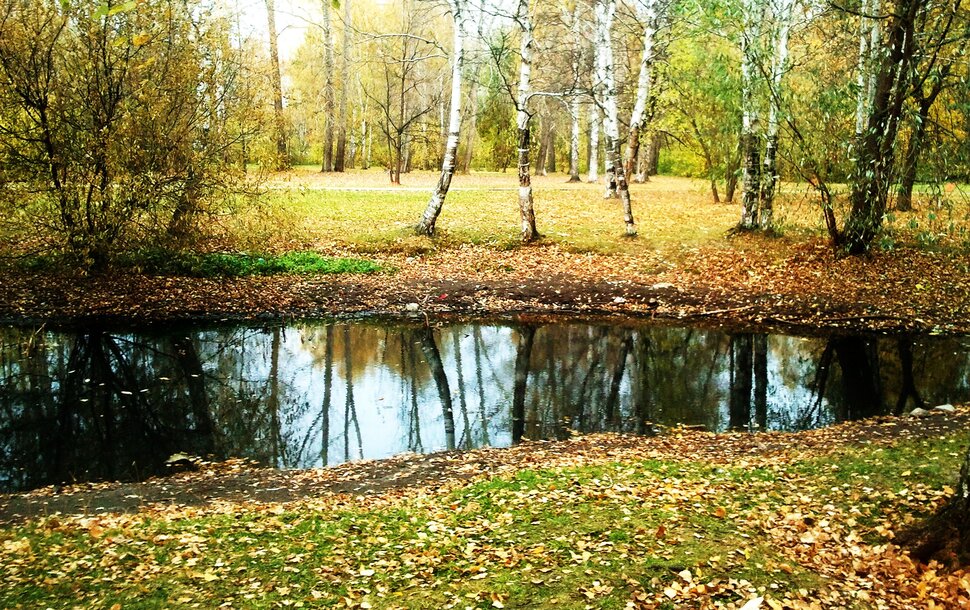 Осень
