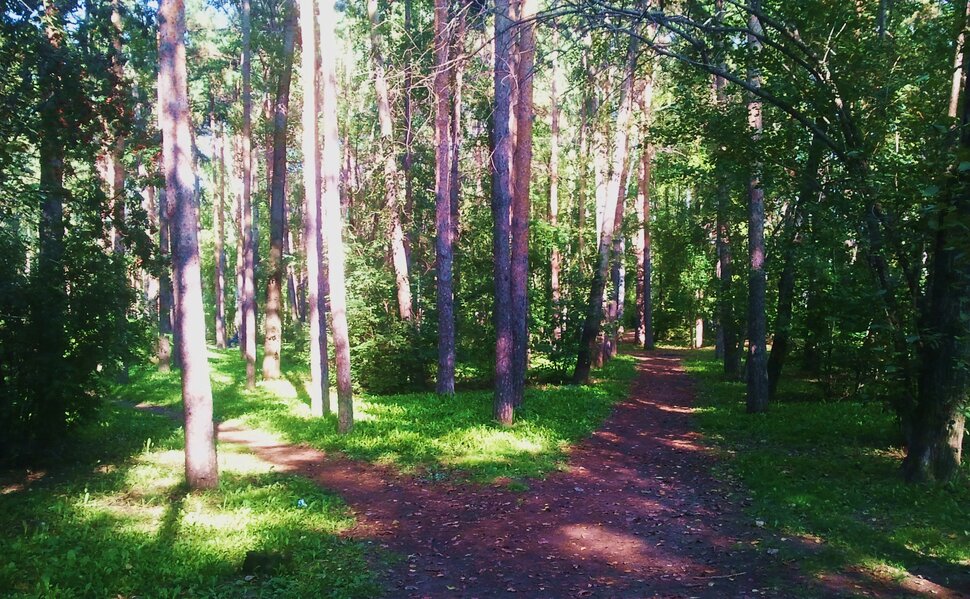 По лесочку