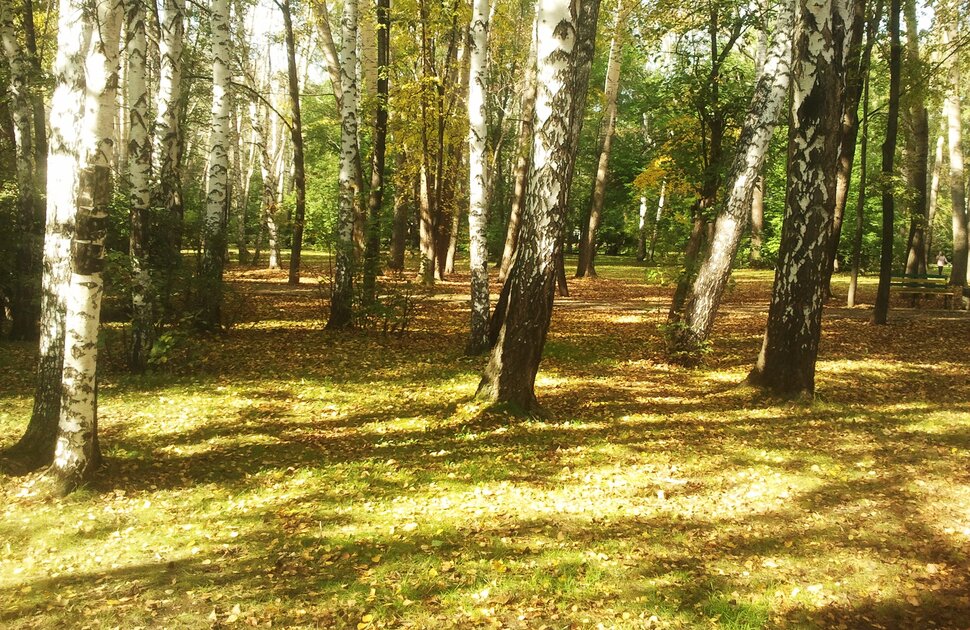 Сентябрь