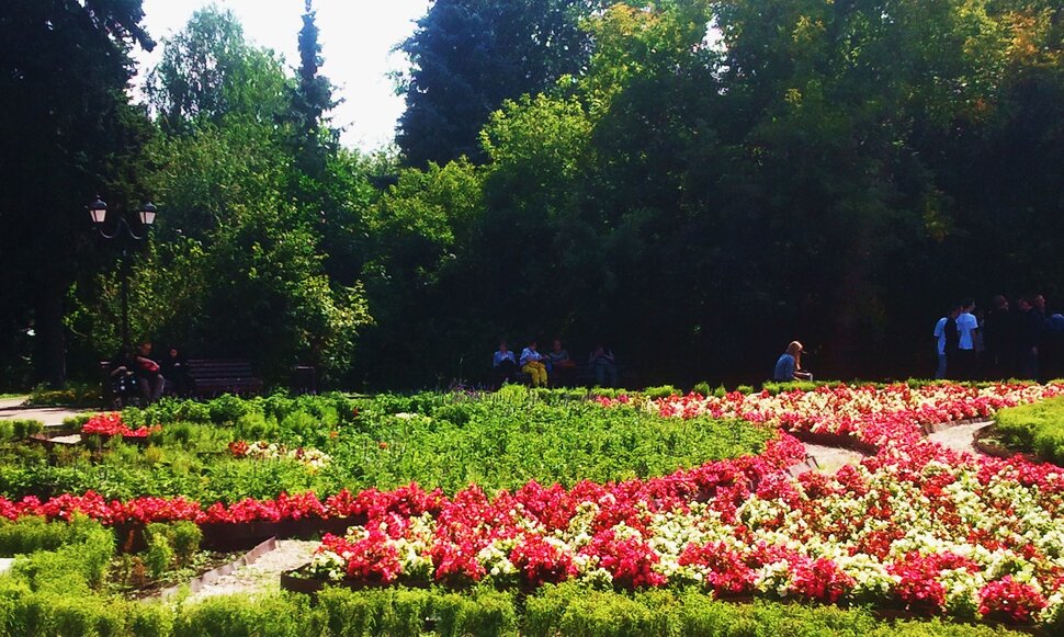 В дендрарии
