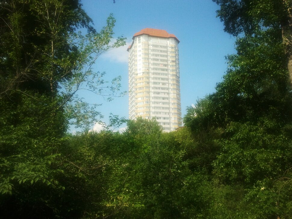 В зарослях