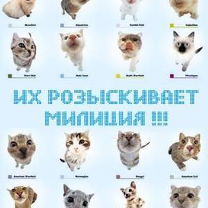 Аватарки конопли Аватарки конопли гофры глушителя hydra купить в рб
