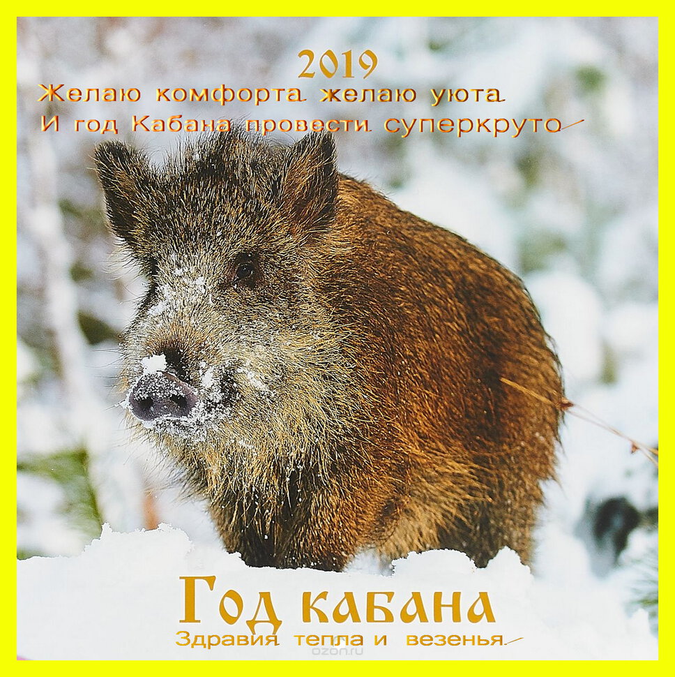 Merry Christmas and a Happy New 2019 Year!